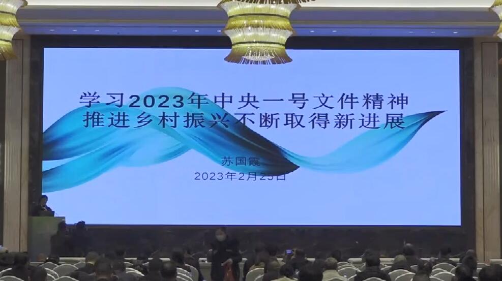 蘇國霞：學習2023年中央一號文件精神推進鄉村振興不斷取得新進展